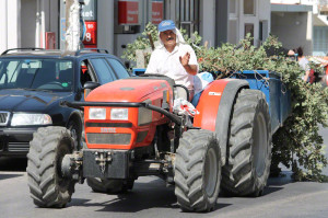 Der griechische Bauer heute